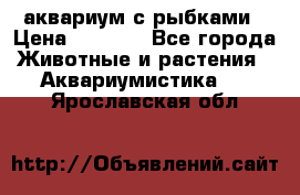 аквариум с рыбками › Цена ­ 1 000 - Все города Животные и растения » Аквариумистика   . Ярославская обл.